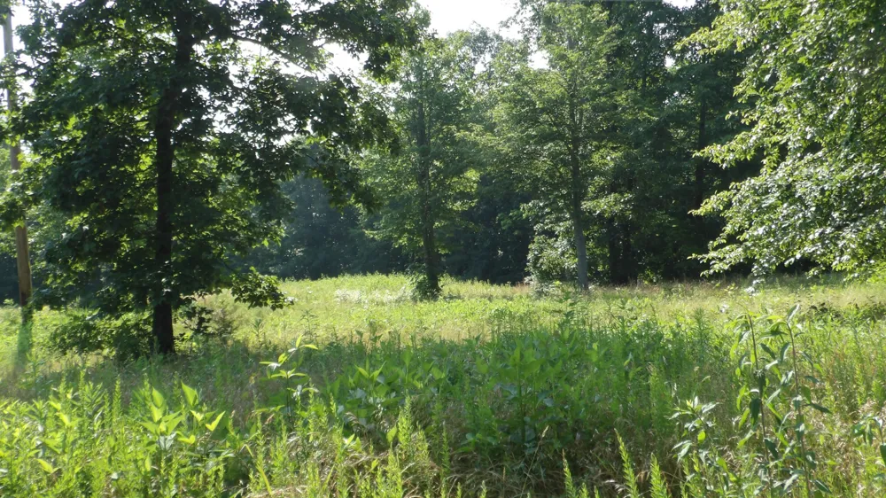 580 Pleasant Cemetery Lane Gainesboro, TN 38562