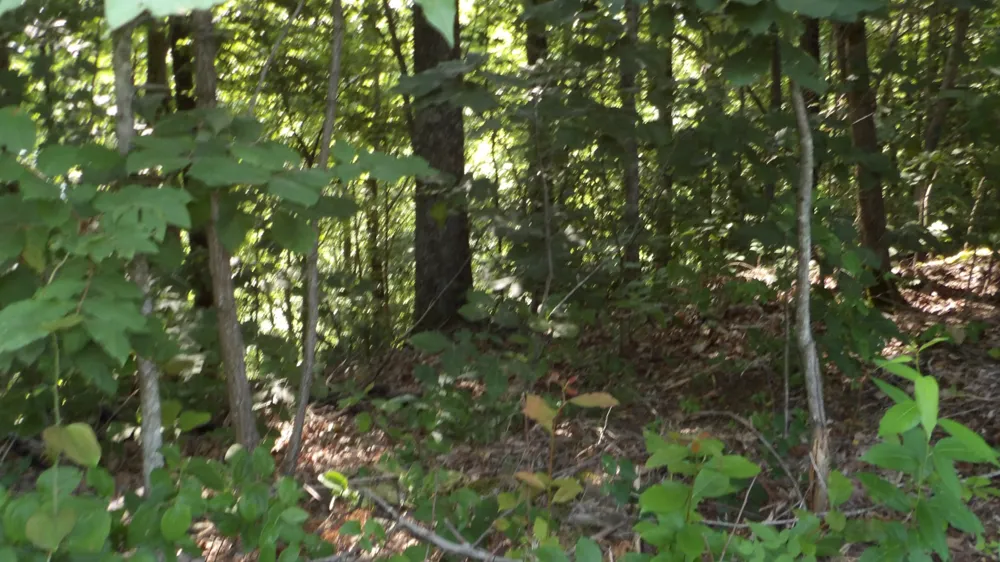 580 Pleasant Cemetery Lane Gainesboro, TN 38562