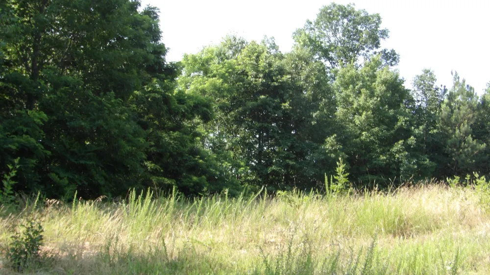 580 Pleasant Cemetery Lane Gainesboro, TN 38562