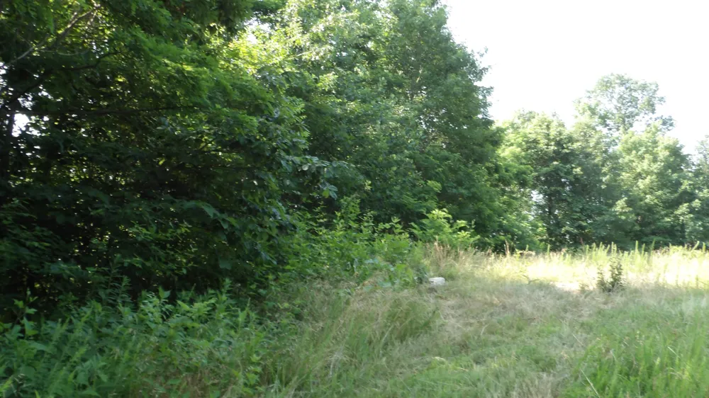 580 Pleasant Cemetery Lane Gainesboro, TN 38562