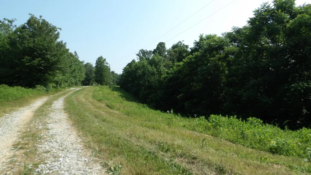580 Pleasant Cemetery Lane Gainesboro, TN 38562
