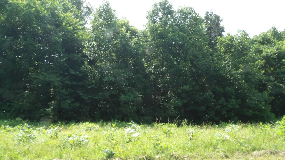 580 Pleasant Cemetery Lane Gainesboro, TN 38562