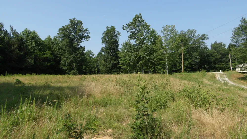 580 Pleasant Cemetery Lane Gainesboro, TN 38562