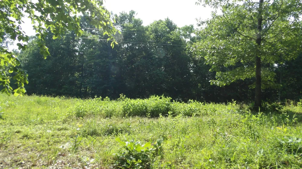 580 Pleasant Cemetery Lane Gainesboro, TN 38562