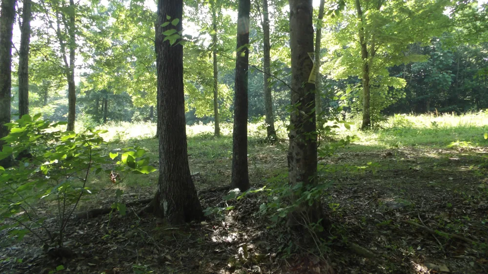 580 Pleasant Cemetery Lane Gainesboro, TN 38562