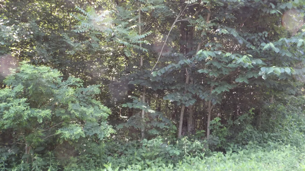 580 Pleasant Cemetery Lane Gainesboro, TN 38562