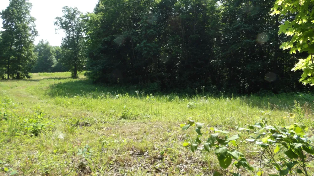 580 Pleasant Cemetery Lane Gainesboro, TN 38562