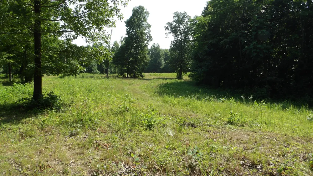 580 Pleasant Cemetery Lane Gainesboro, TN 38562