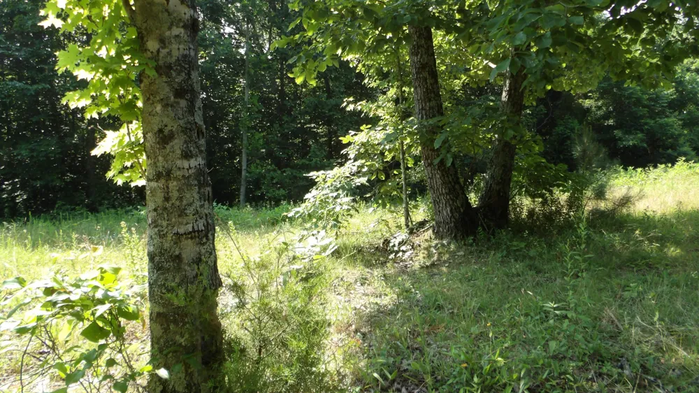 580 Pleasant Cemetery Lane Gainesboro, TN 38562
