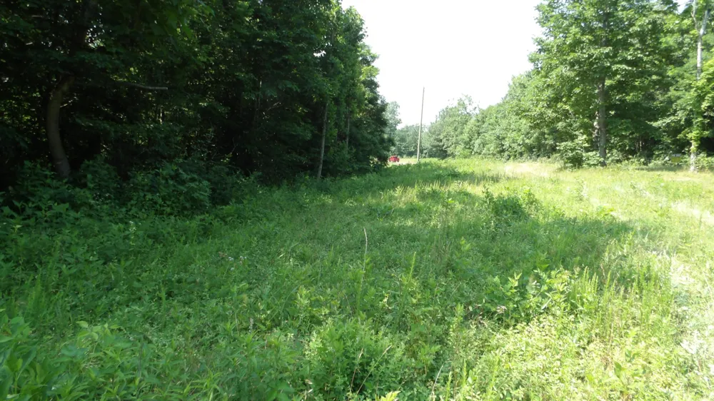 580 Pleasant Cemetery Lane Gainesboro, TN 38562