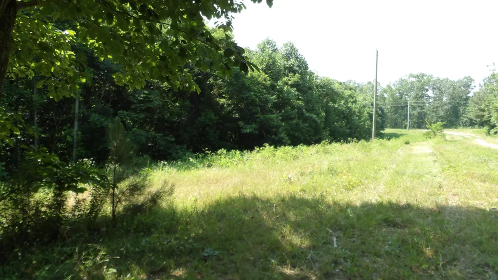 580 Pleasant Cemetery Lane Gainesboro, TN 38562