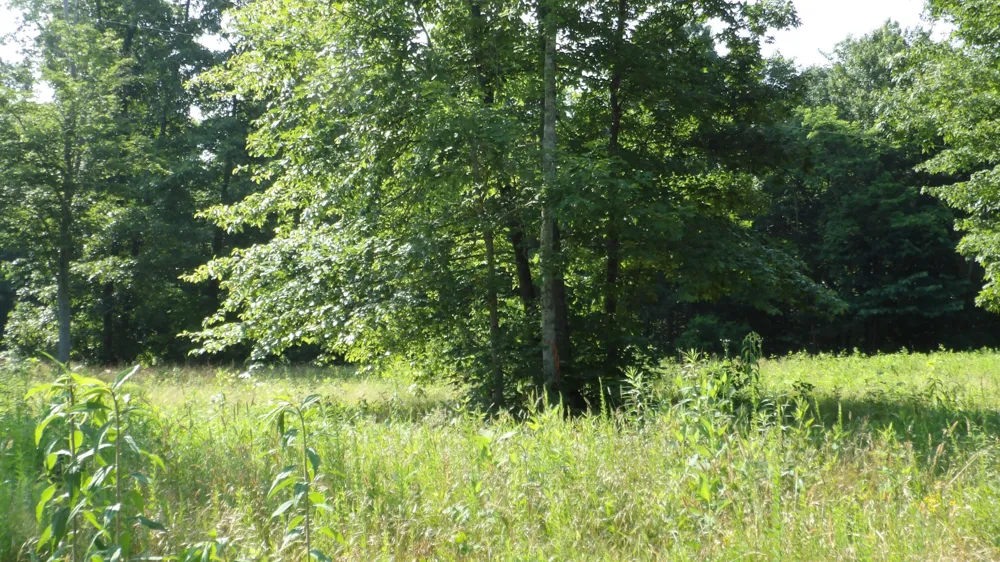 580 Pleasant Cemetery Lane Gainesboro, TN 38562