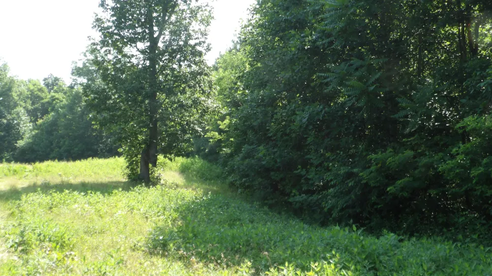 580 Pleasant Cemetery Lane Gainesboro, TN 38562