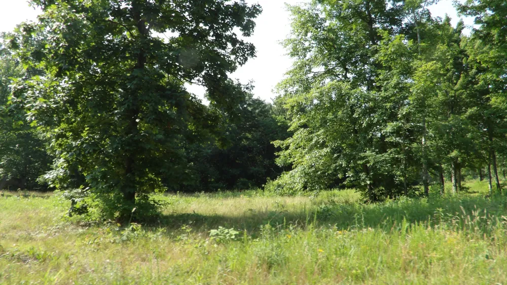 580 Pleasant Cemetery Lane Gainesboro, TN 38562