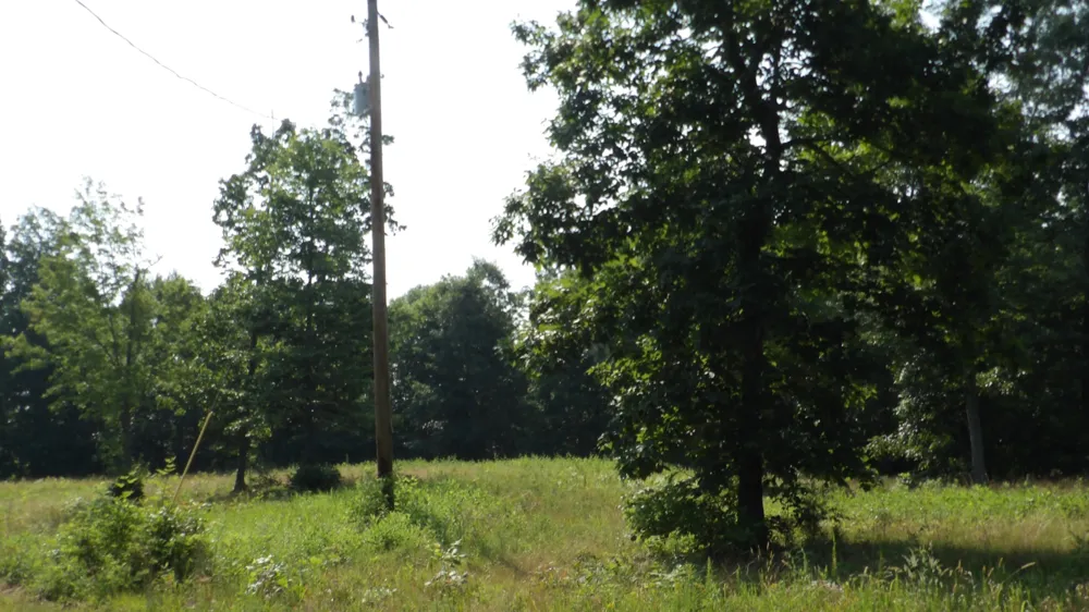 580 Pleasant Cemetery Lane Gainesboro, TN 38562