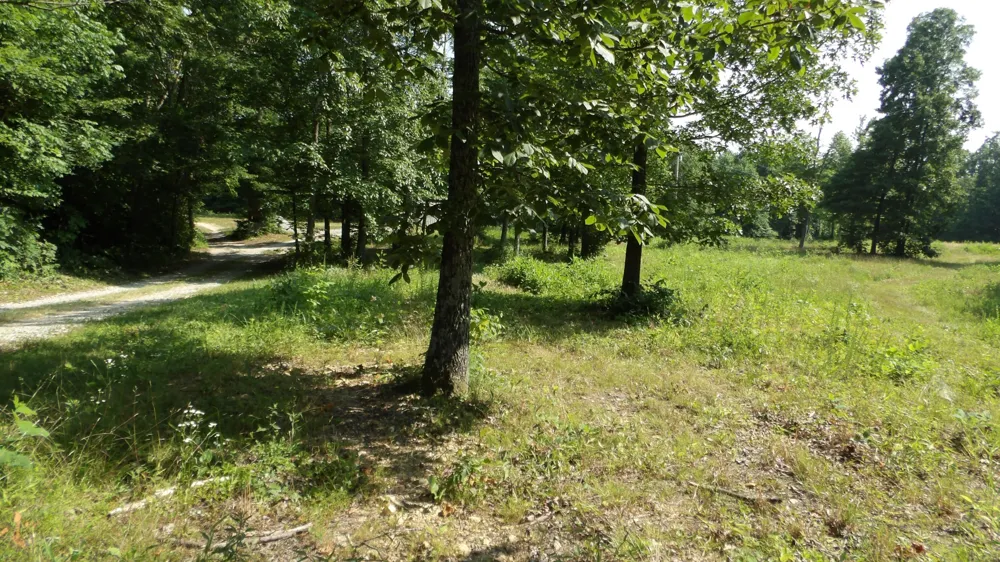 580 Pleasant Cemetery Lane Gainesboro, TN 38562