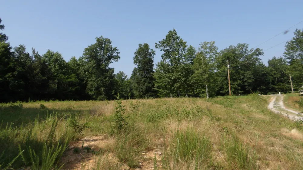 580 Pleasant Cemetery Lane Gainesboro, TN 38562