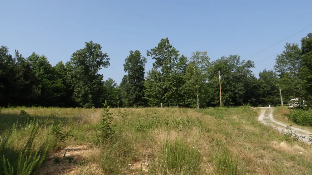 580 Pleasant Cemetery Lane Gainesboro, TN 38562