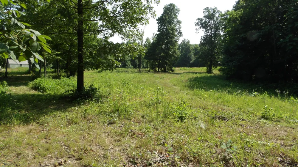 580 Pleasant Cemetery Lane Gainesboro, TN 38562
