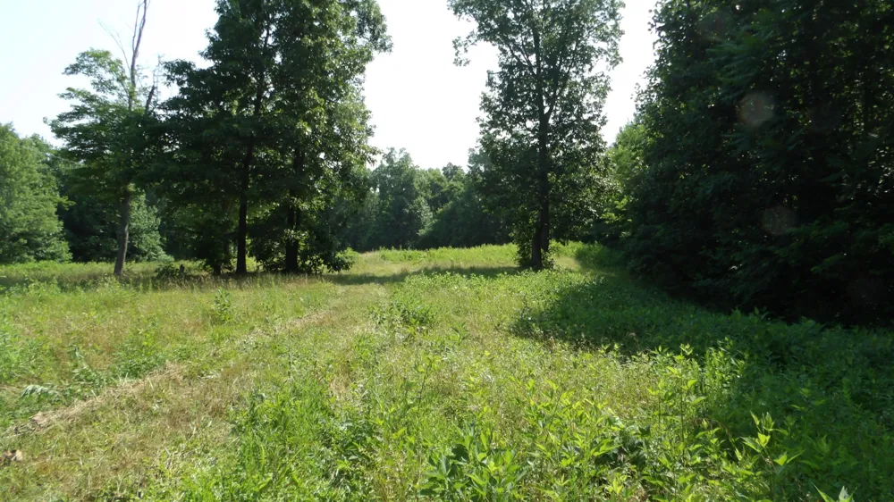 580 Pleasant Cemetery Lane Gainesboro, TN 38562