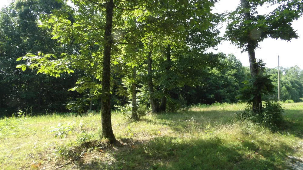 580 Pleasant Cemetery Lane Gainesboro, TN 38562