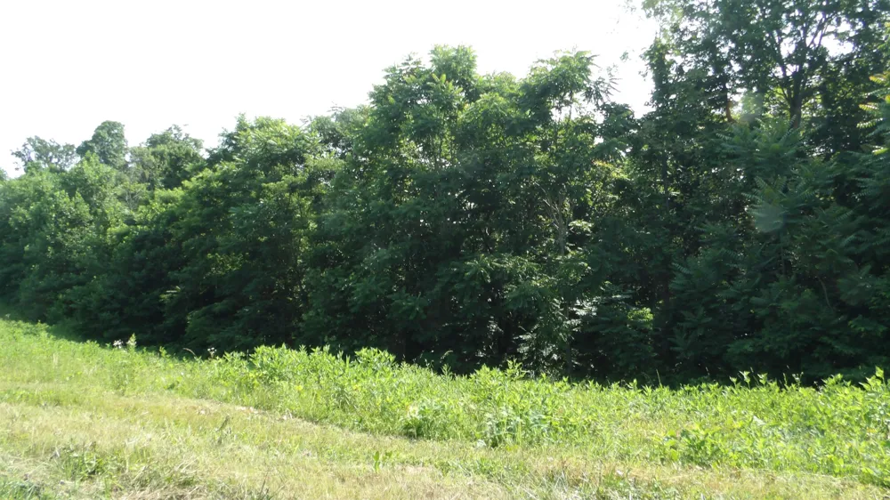 580 Pleasant Cemetery Lane Gainesboro, TN 38562