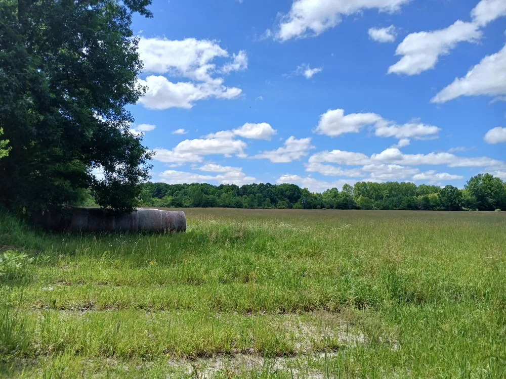 20 Stephens Road Custer, MI 49405