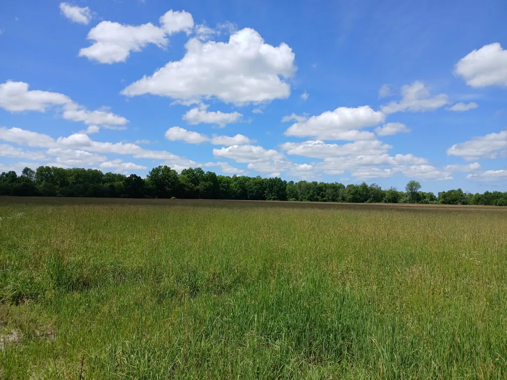 20 Stephens Road Custer, MI 49405