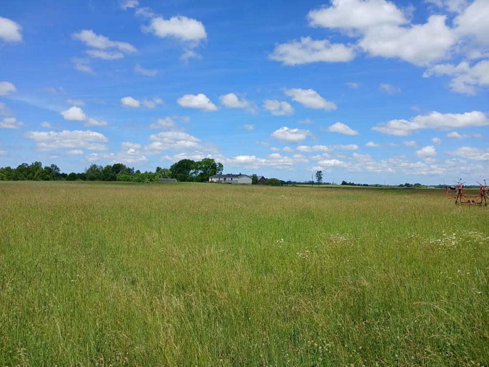 20 Stephens Road Custer, MI 49405
