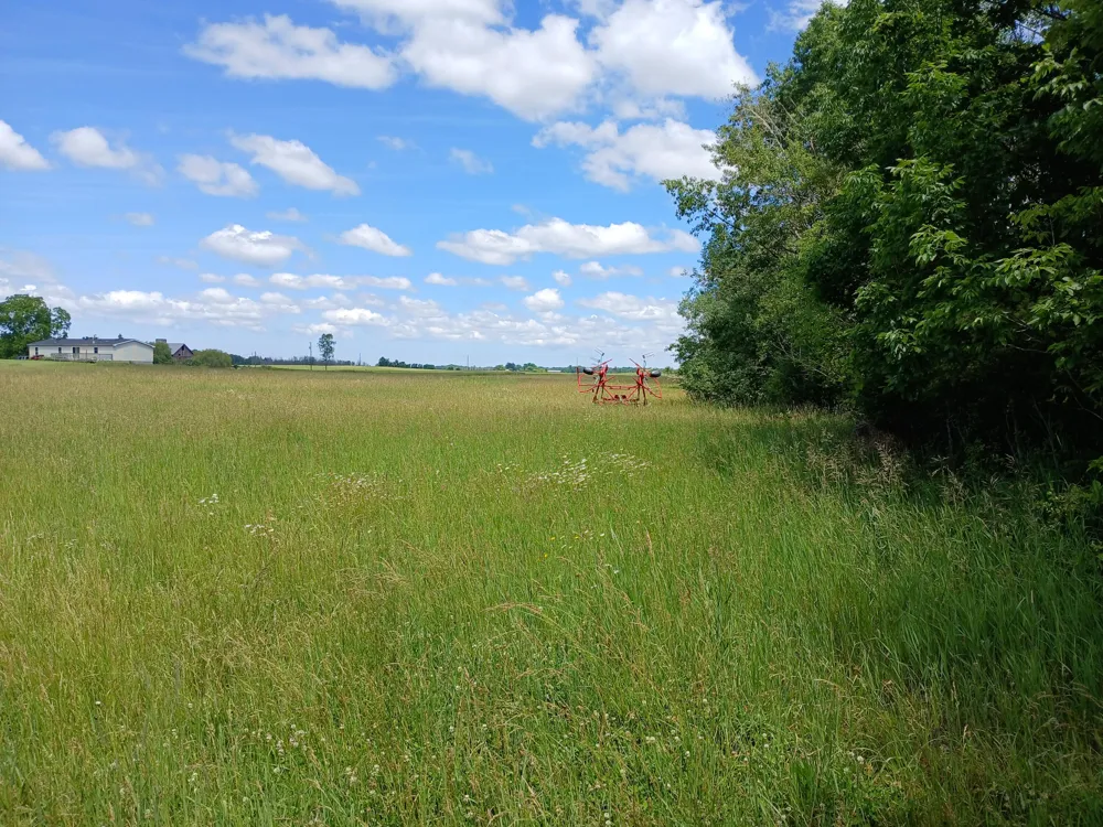 20 Stephens Road Custer, MI 49405