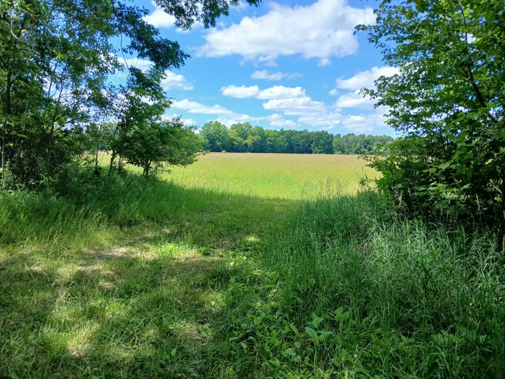 20 Stephens Road Custer, MI 49405