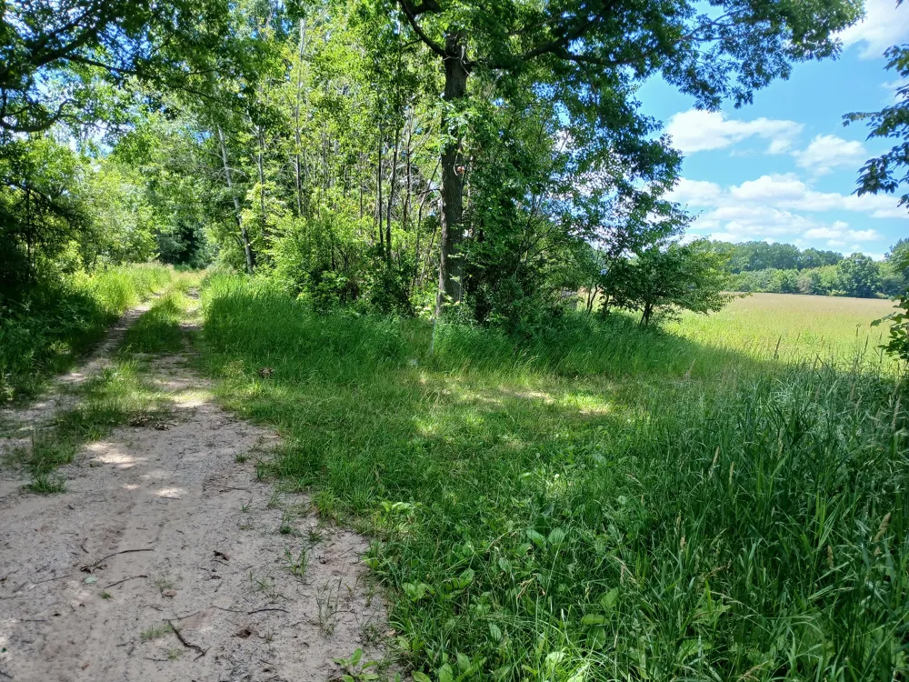 20 Stephens Road Custer, MI 49405