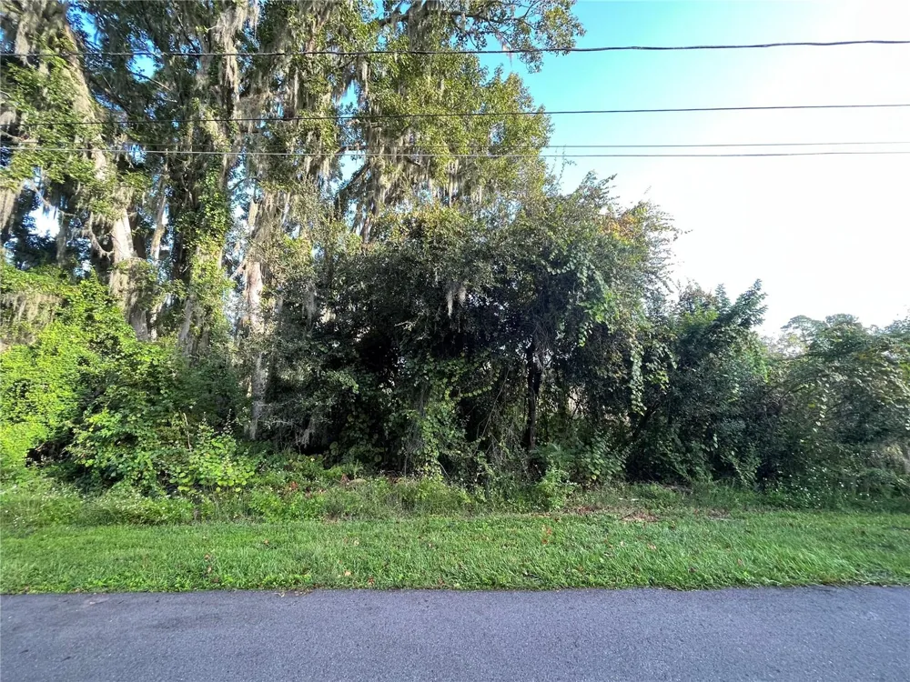 270 TOMS ROAD Debary, FL 32713