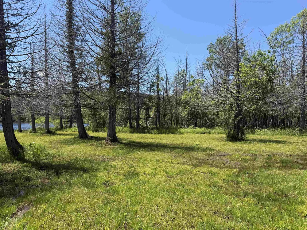 6263 East Jordan Road Banks Township, MI 49729