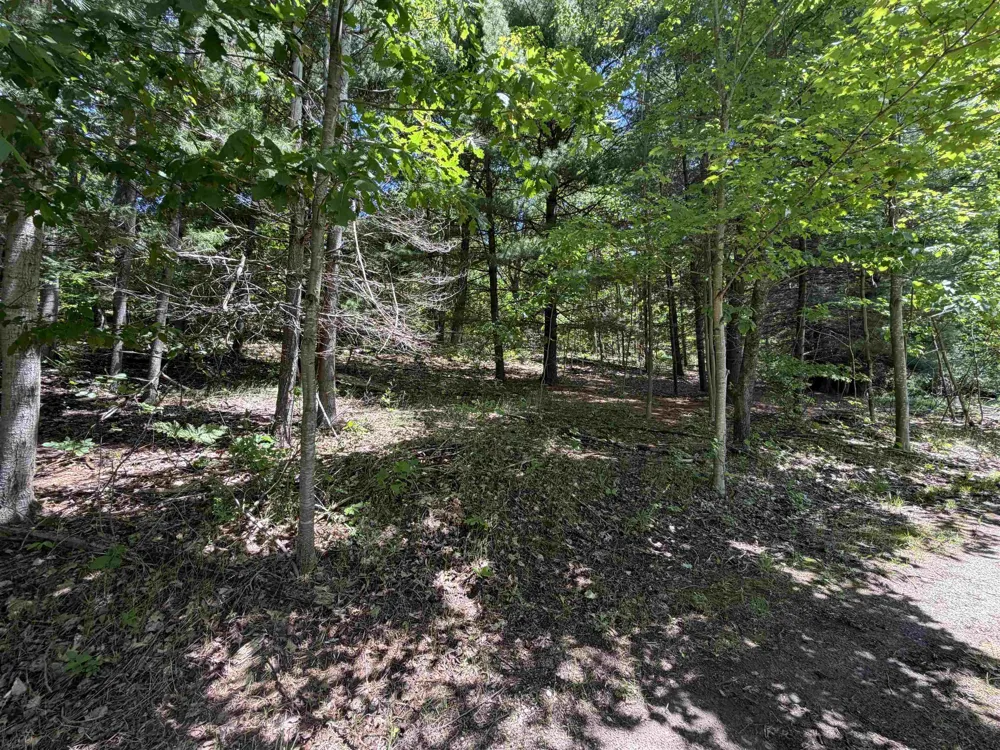6263 East Jordan Road Banks Township, MI 49729