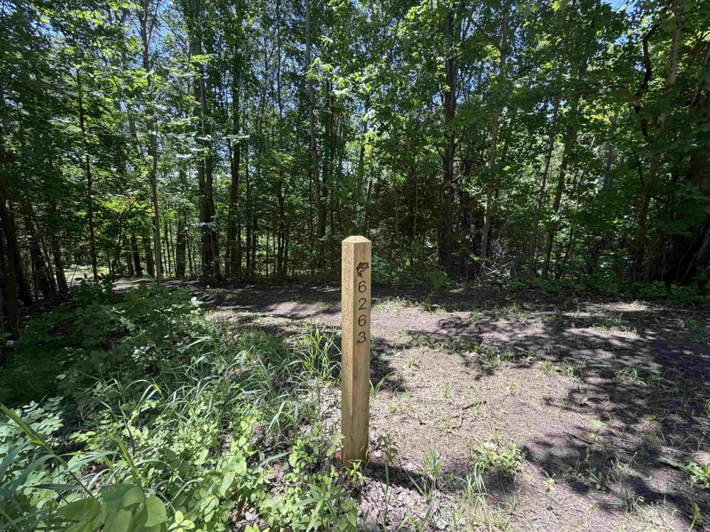6263 East Jordan Road Banks Township, MI 49729