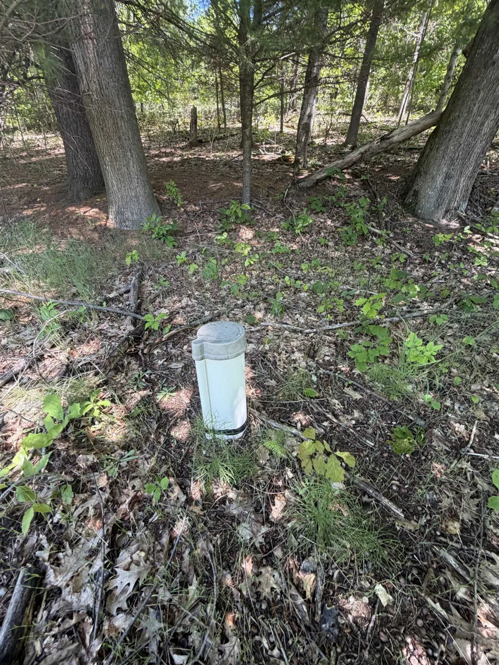 6263 East Jordan Road Banks Township, MI 49729