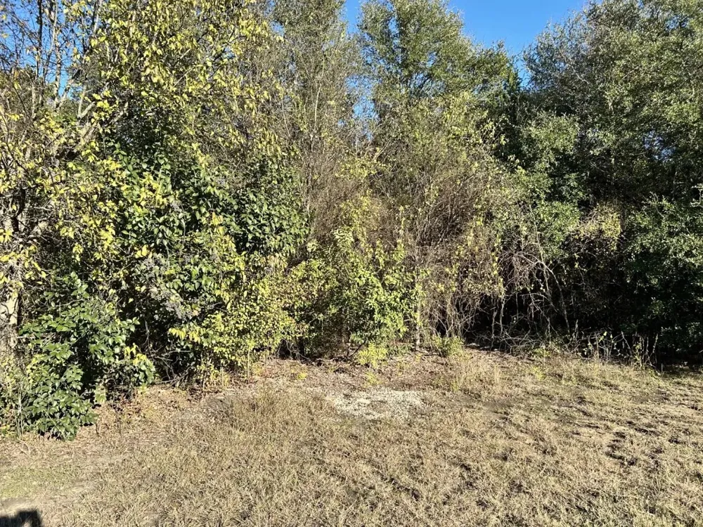 734 Cherry Road Whitney, TX 76692
