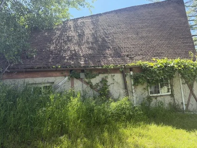 9374 Miramichi Drive Evart Township, MI 49631