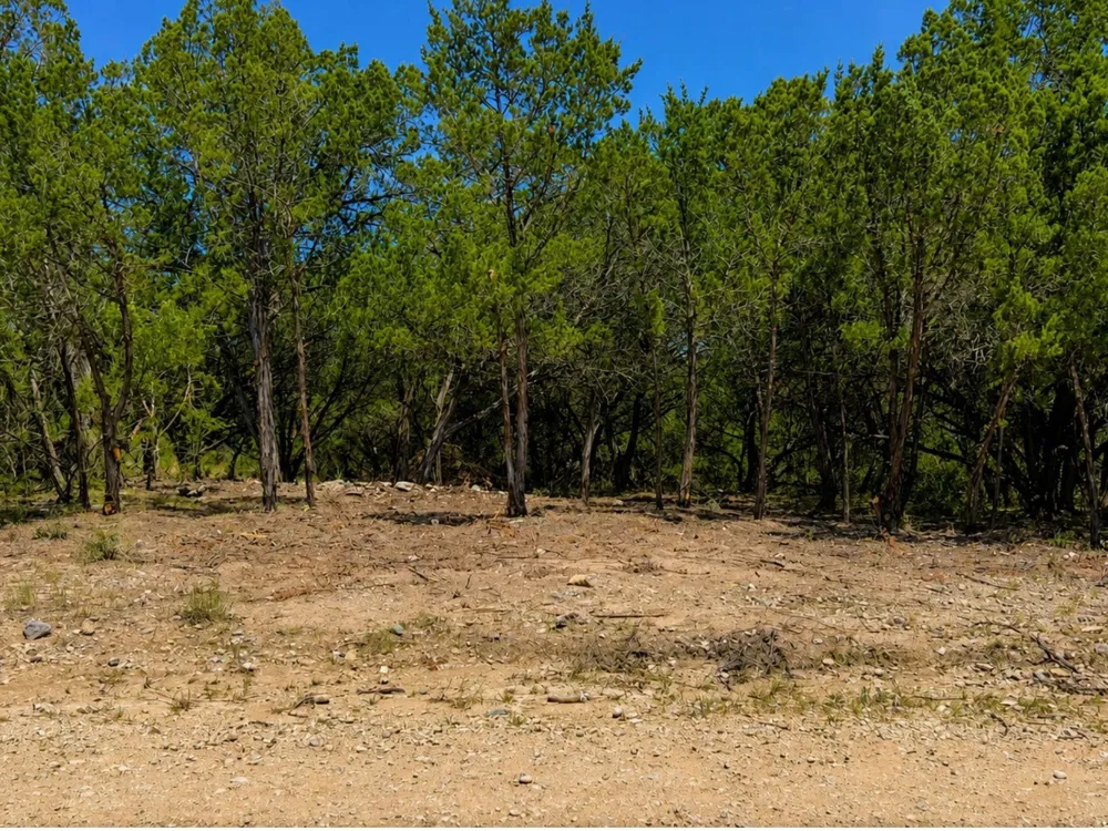 162 Wyatt Earp Drive Bandera, TX 78003