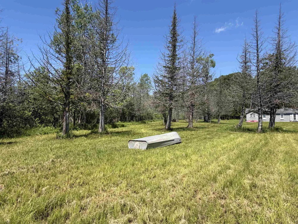 6263 East Jordan Road Banks Township, MI 49729