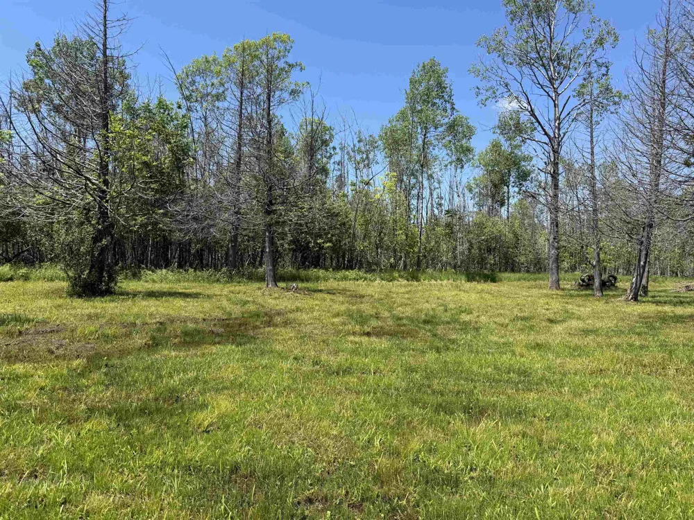 6263 East Jordan Road Banks Township, MI 49729