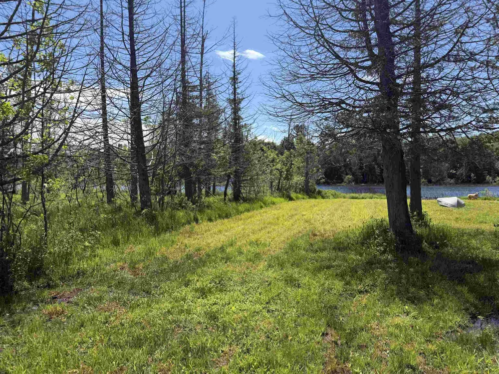 6263 East Jordan Road Banks Township, MI 49729
