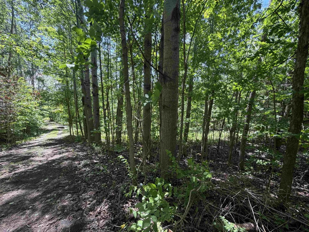 6263 East Jordan Road Banks Township, MI 49729