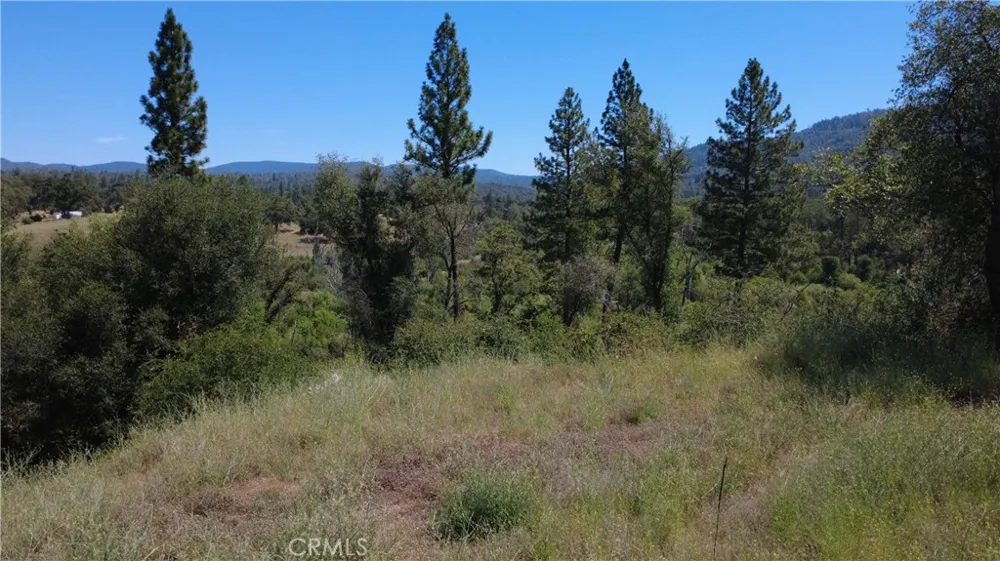 390 Darby Bangor, CA 95914