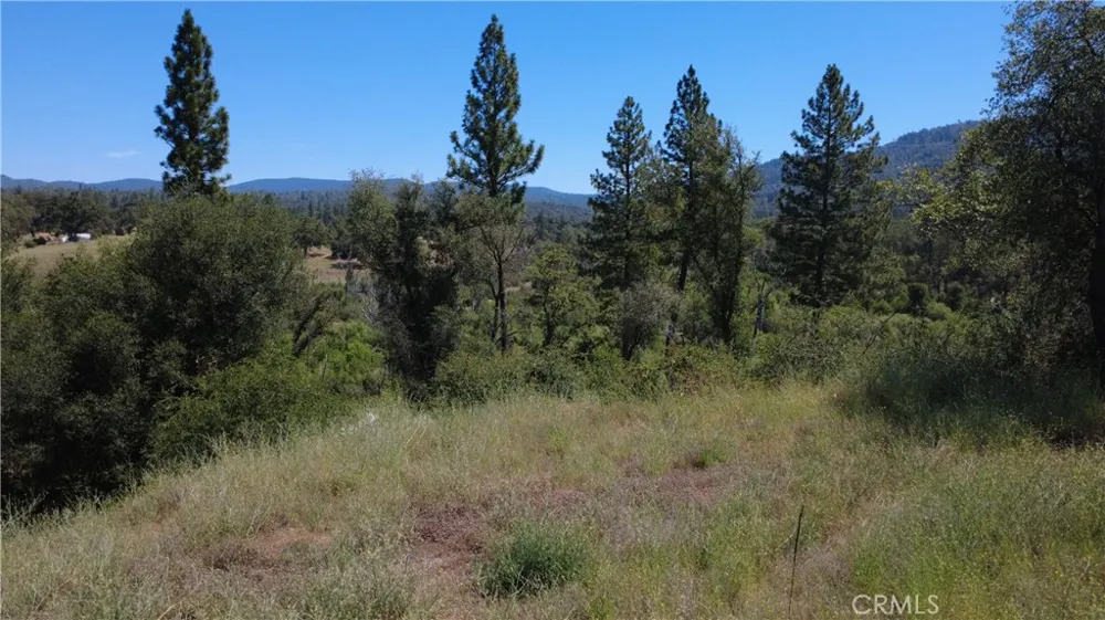 390 Darby Bangor, CA 95914