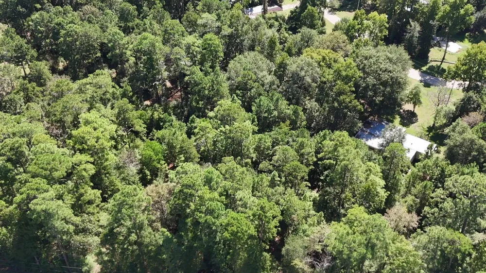 226 N Canyon Drive Onalaska, TX 77360