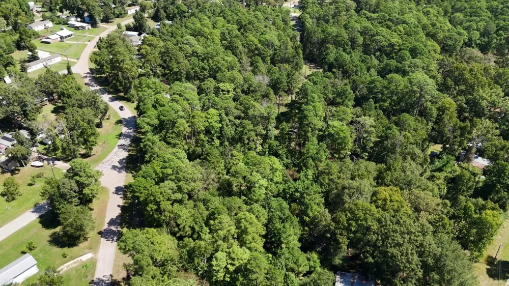 226 N Canyon Drive Onalaska, TX 77360