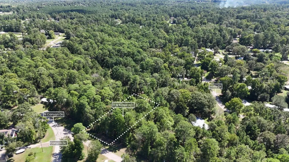 226 N Canyon Drive Onalaska, TX 77360