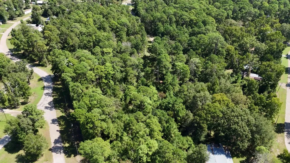 226 N Canyon Drive Onalaska, TX 77360